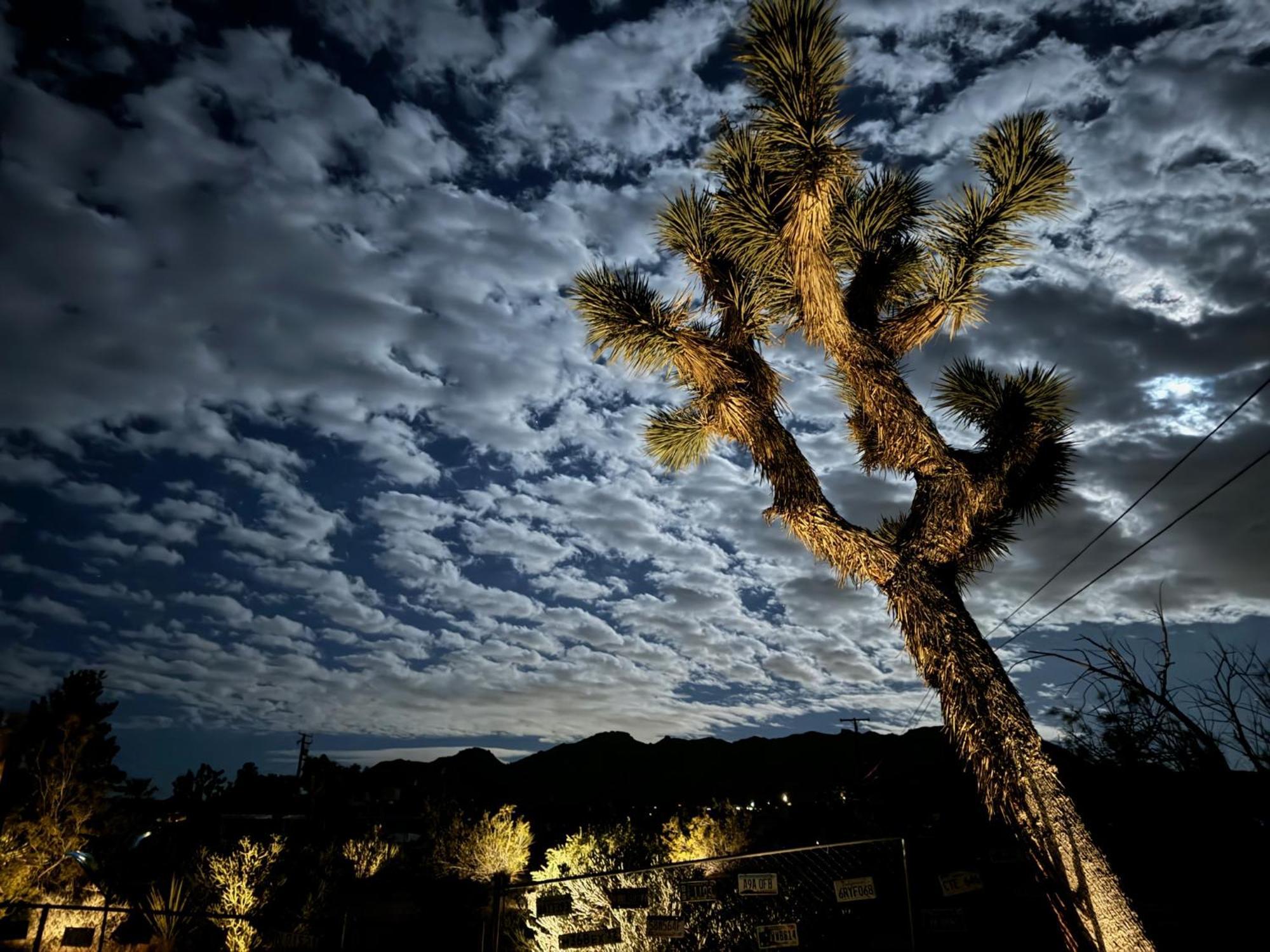 Float Pool, Hot Tub, Sauna, Views, Telescope-Skywatchers Haven جوشوا تري المظهر الخارجي الصورة