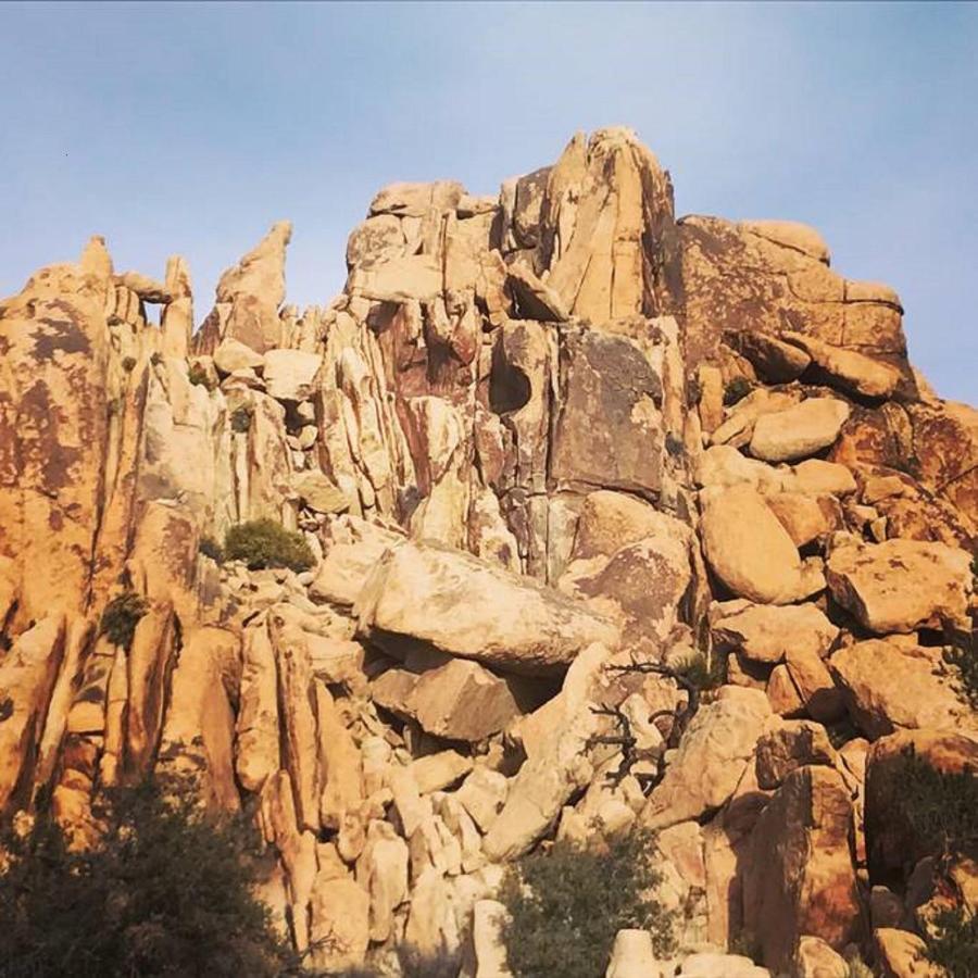 Float Pool, Hot Tub, Sauna, Views, Telescope-Skywatchers Haven جوشوا تري المظهر الخارجي الصورة